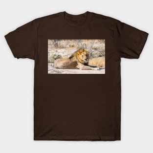 Lion in the sun. T-Shirt